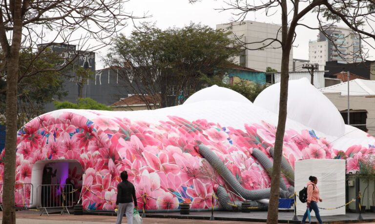 Coletivo Pink em São Paulo